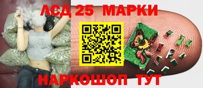 кокс Аша