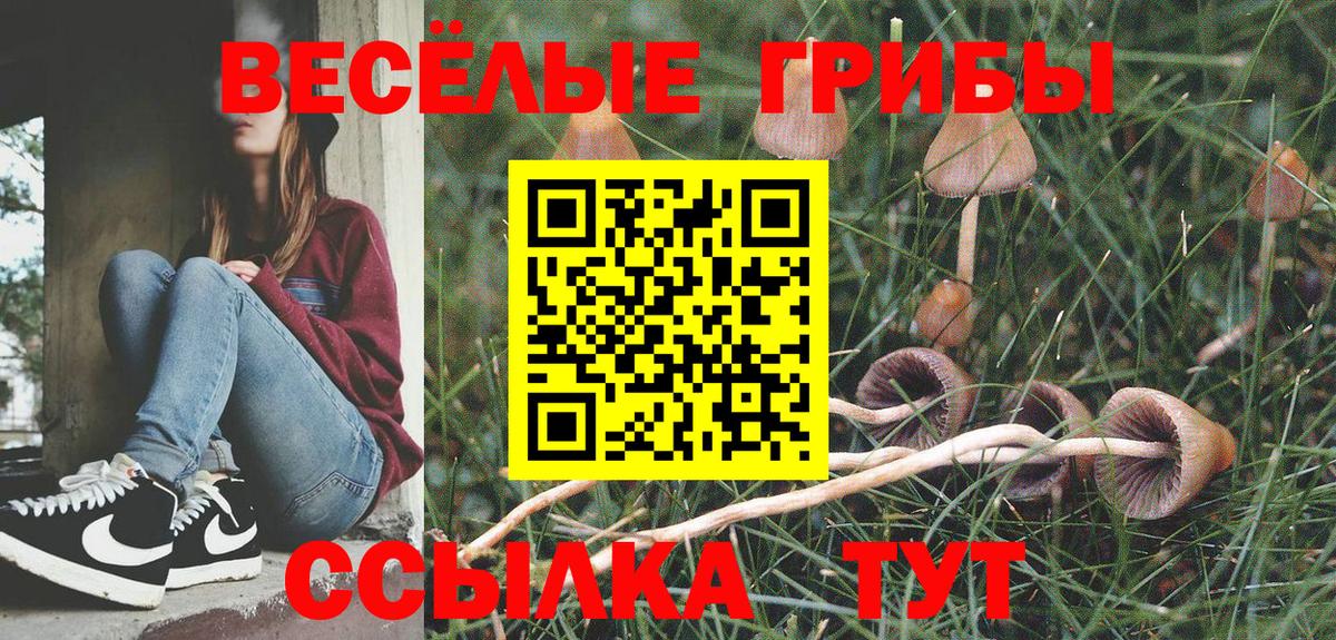 Псилоцибиновые грибы Cubensis Зерноград