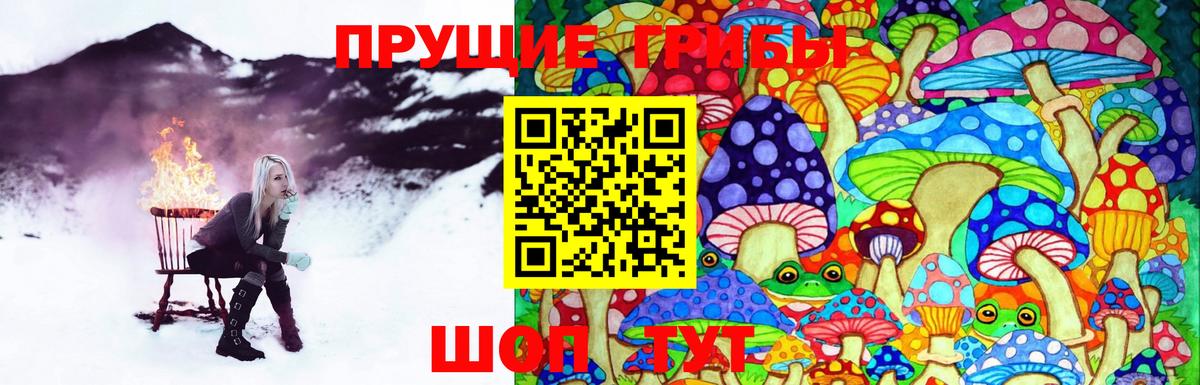 Зерноград  Галлюциногенные грибы ЛСД  Вход с VPN 